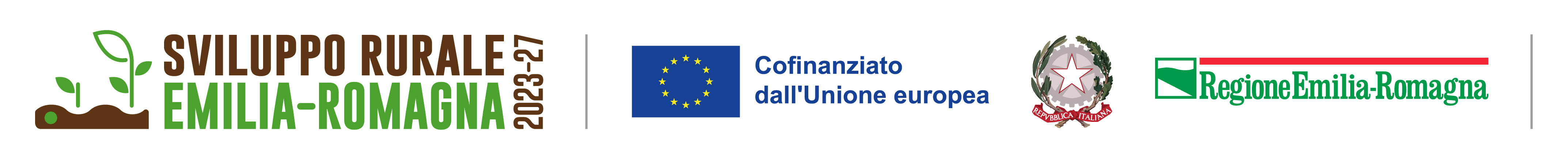 clic per visualizzare il bando